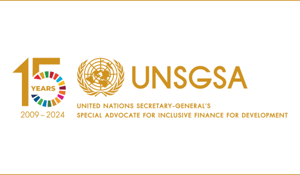 Logo UNSGSA 15 years